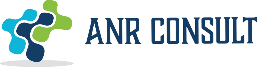 ANR Consult logo