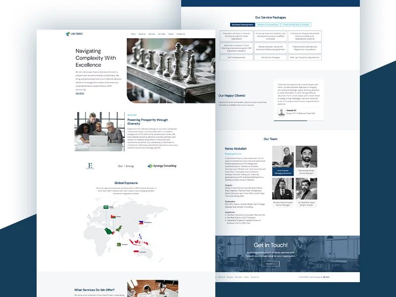 ANR Consulting website design by The Digital Penguin — homepage, service packages, team and global exposure map
