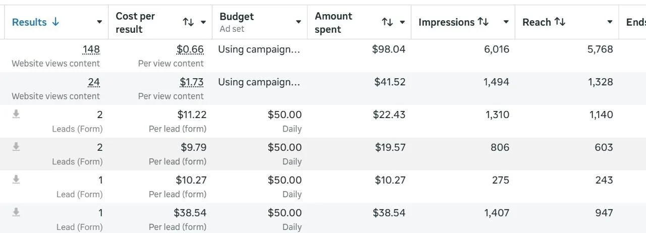 Meta lead generation campaign screenshot