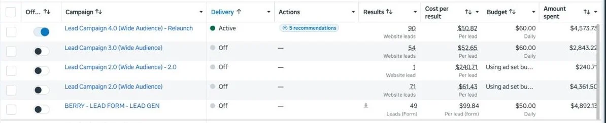 Meta Ads Manager results for Berry Roofing showing multiple lead campaigns totalling 265 leads