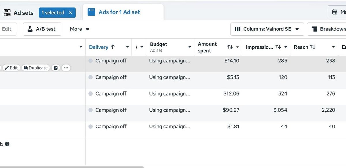 Meta Ads ad set level performance breakdown