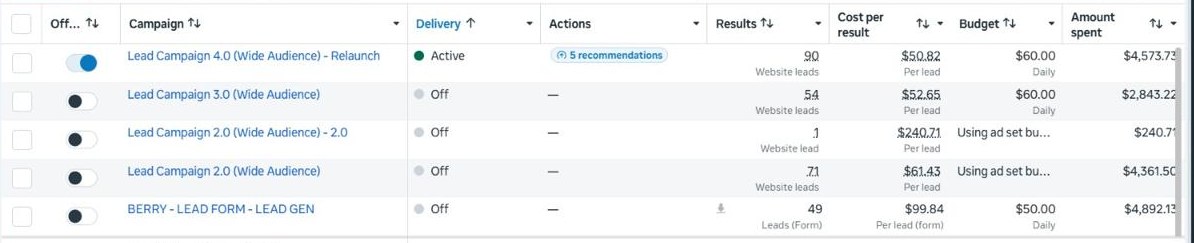 Meta Ads Manager results for Berry Roofing showing multiple lead campaigns totalling 265 leads